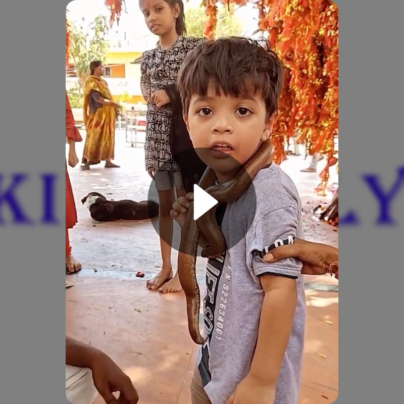 😂ਸ਼ੁੱਧ ਦੇਸੀ ਕਮੇਡੀ🤣 - ShareChat