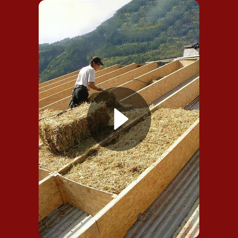 Workers On Another Level🔥 Satisfying Jobs Snapchat