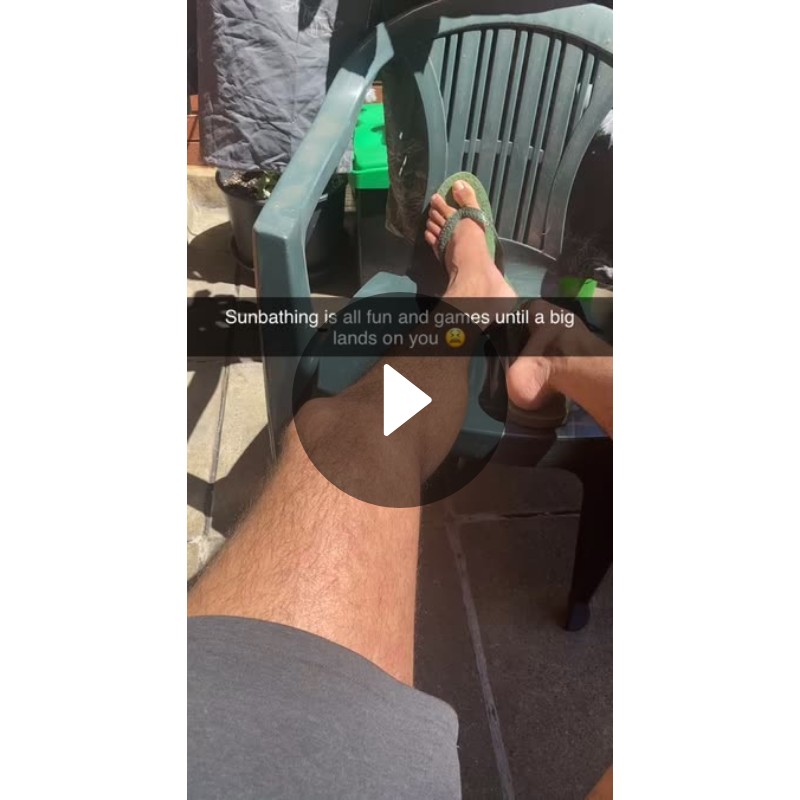 Sunbathing is all fun and games until a big lands on you 😫 | SnapchatのSpotlight