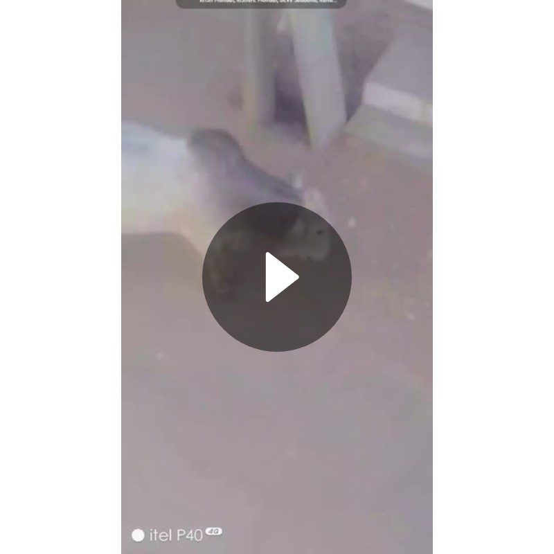 📲मेरा पहला पोस्ट😍 - ShareChat