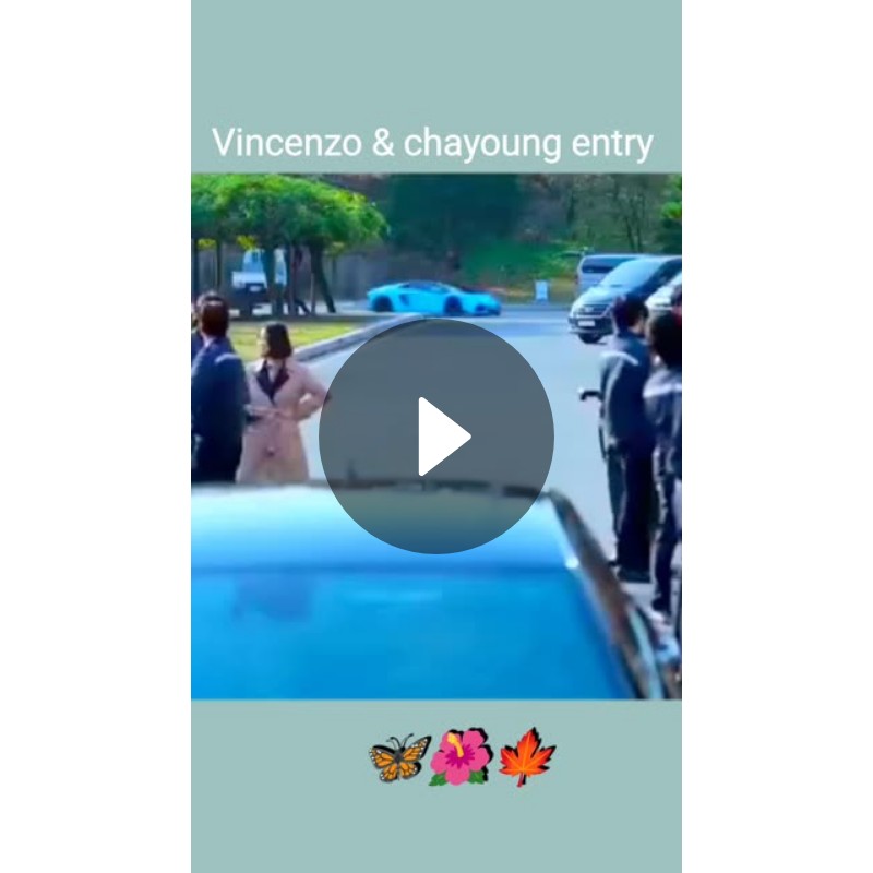 Vincenzo ❤️ Chayoung 🦋🌺🍁 - ShareChat