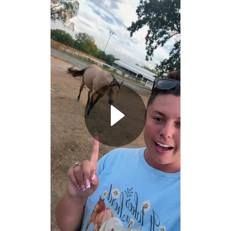 Katie Van Slyke's Fall Foaling Prep: Why Pregnant Mares Need Special ...