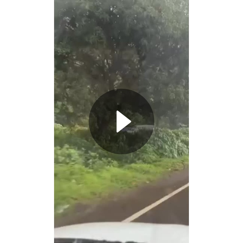 👌બેસ્ટ સ્ટેટ્સ📱 - ShareChat