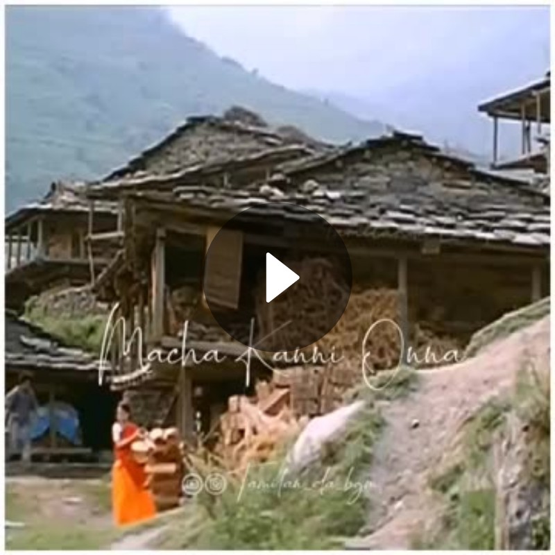 hhg good I'll opp opp opp opp opp opp ioiouoio8 opp opp opp opp - ShareChat