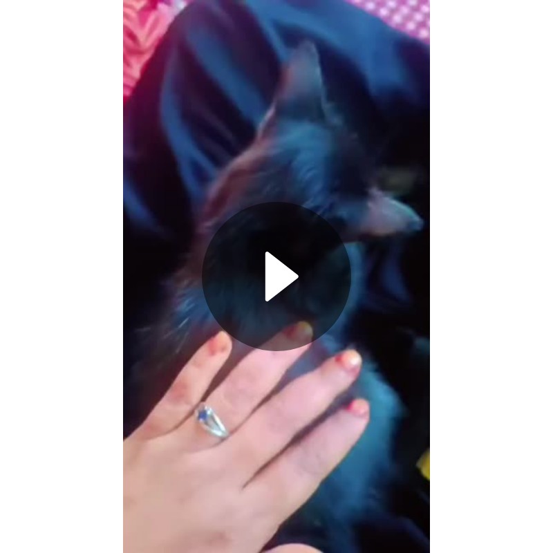 🥰 الله اکبر  🤗 - ShareChat