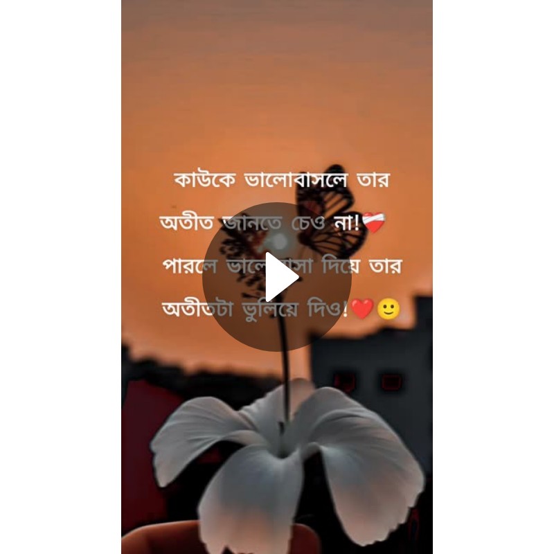 😇আজকের Whatsappস্টেটাস 🙌 - ShareChat