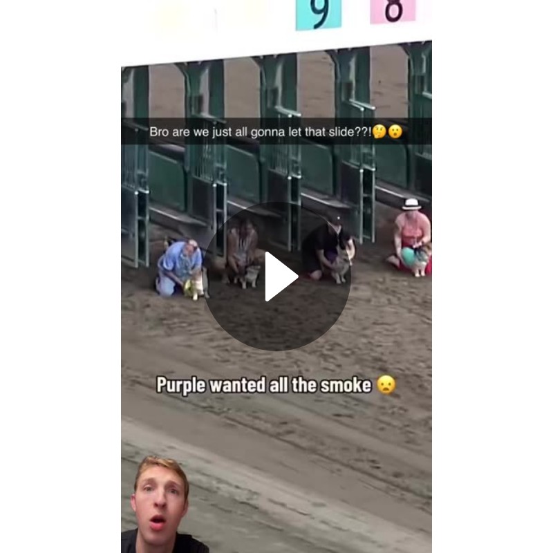 Bro are we just all gonna let that slide??!🤔😮 Spotlight on Snapchat