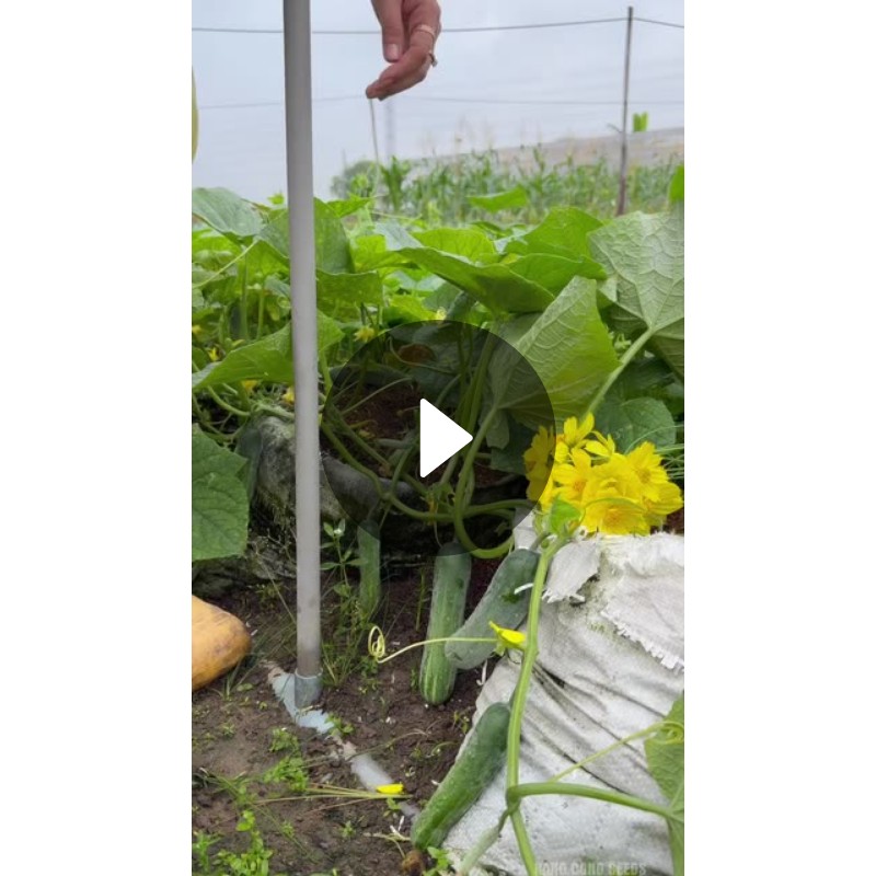 ⛽पेट्रोल- डिझेलचे नवीन दर👉 - ShareChat