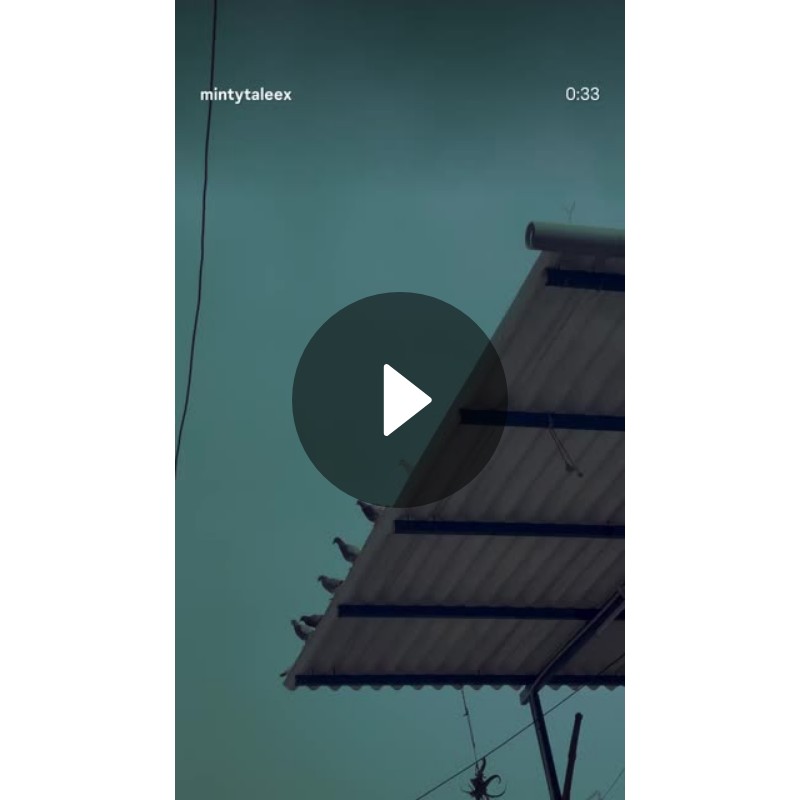 💞Feel My Love💖 - ShareChat