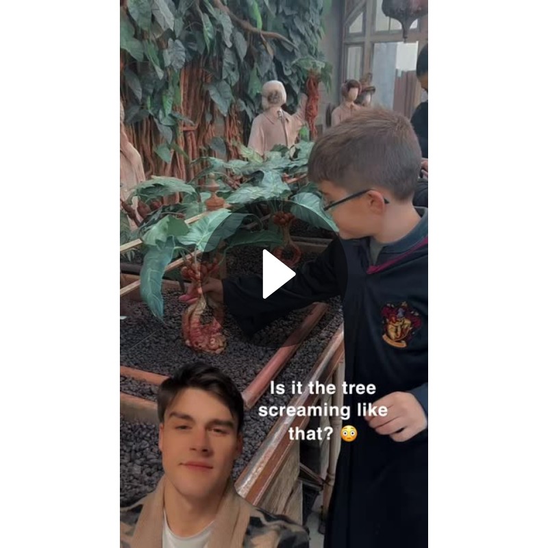 Is it the tree screaming like that? 😳 Spotlight on Snapchat