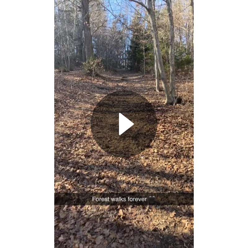 forest-walks-forever-spotlight-on-snapchat