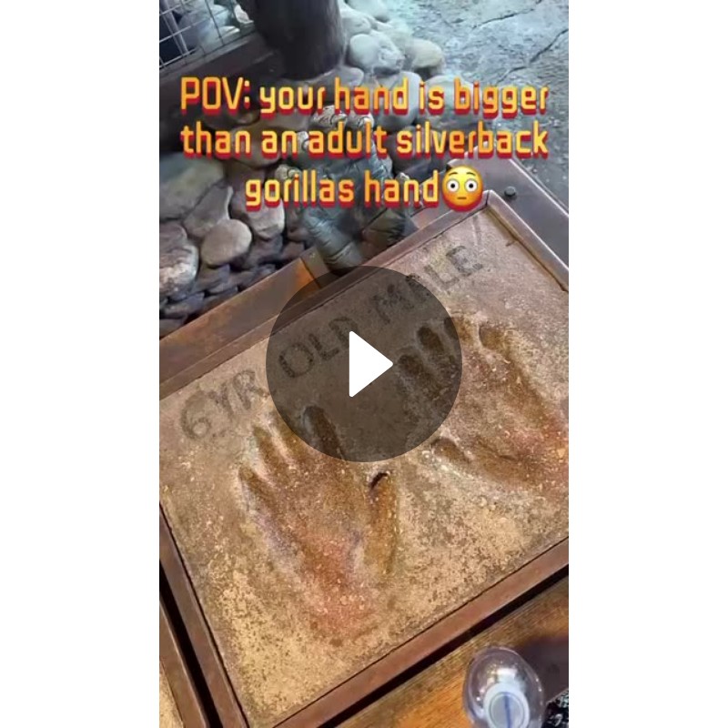 You know what they say about big hands?😳 TallGirl Marie Temara