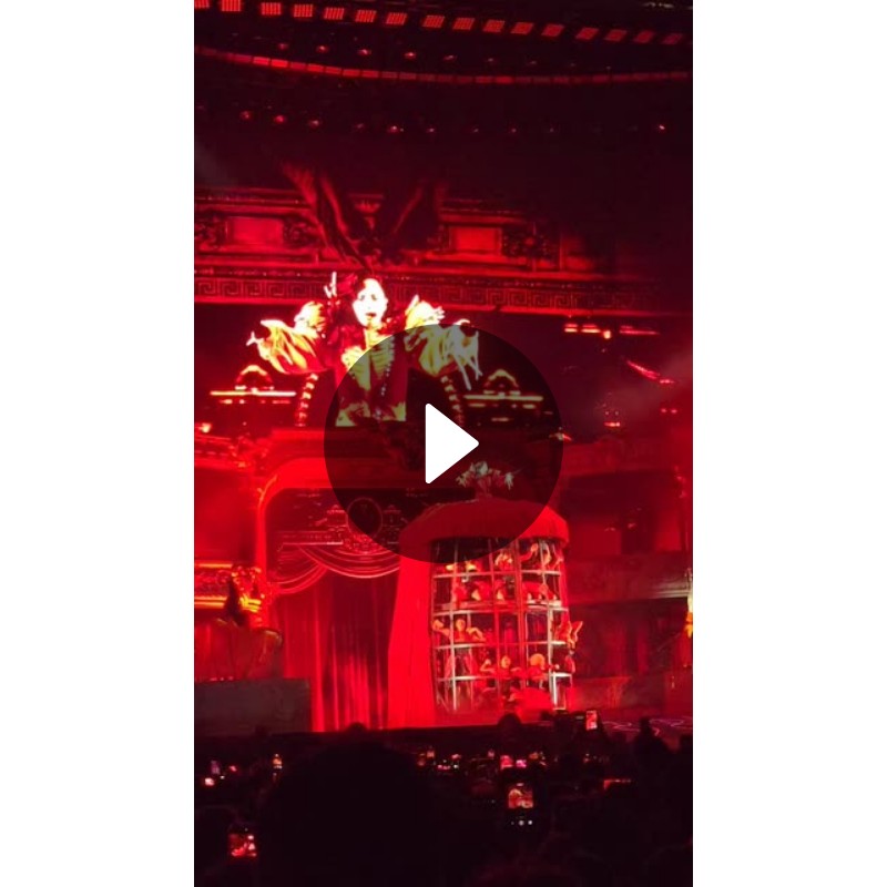 Hylia Fawkes (itshyliafawkes) Posted 12/6/2025 Spotlight