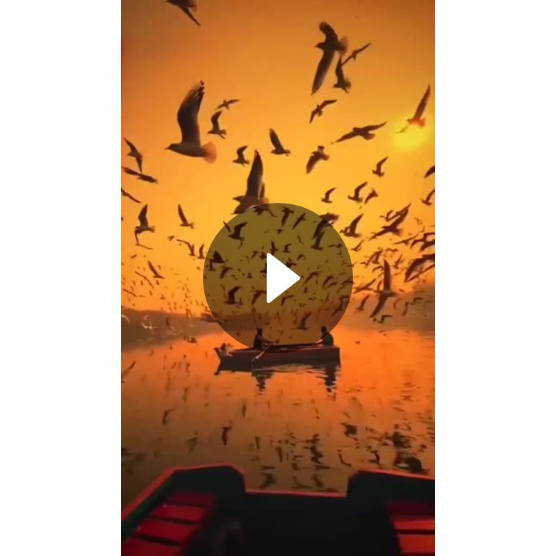 🌞 Good Morning🌞 - ShareChat