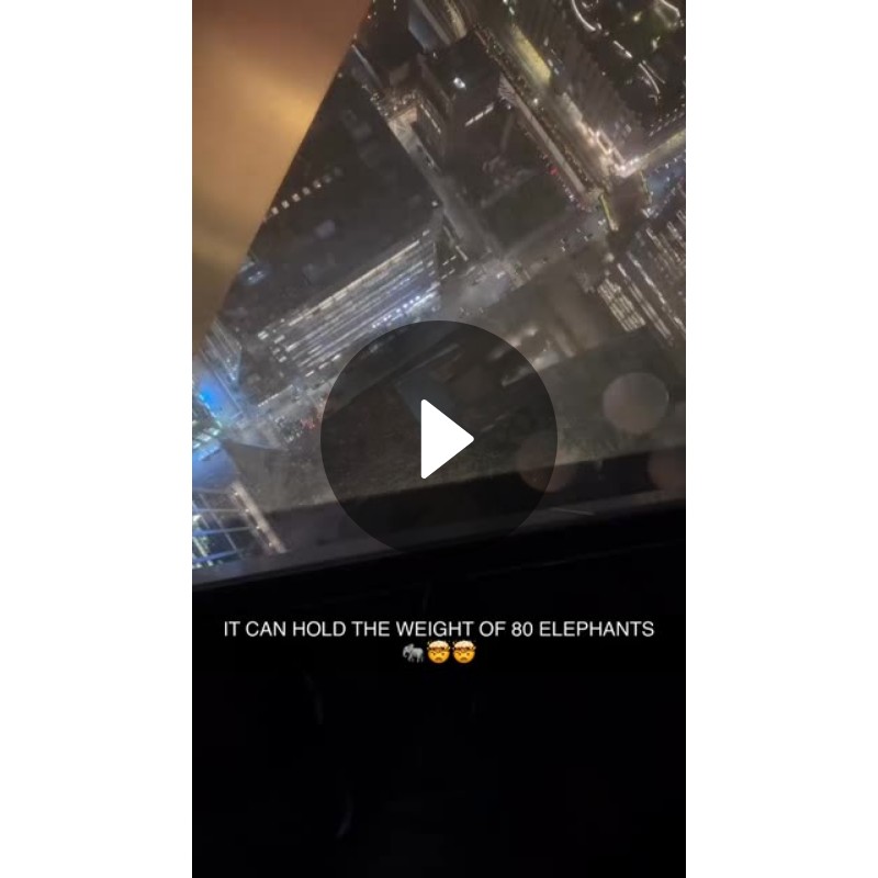 IT CAN HOLD THE WEIGHT OF 80 ELEPHANTS 🐘🤯🤯 Spotlight on Snapchat