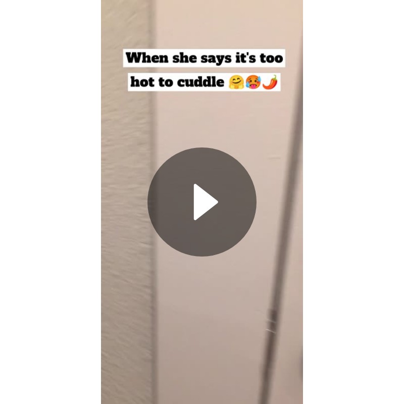 When she says it's too hot to cuddle 🤗🥵🌶️ Spotlight on Snapchat