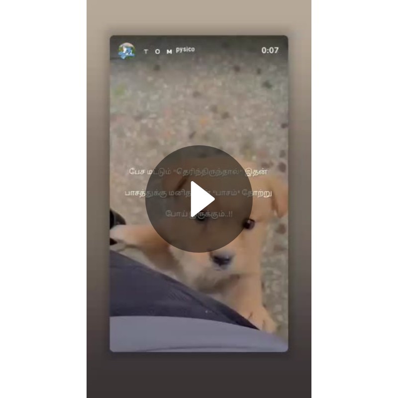 📒 Spoken English - ShareChat