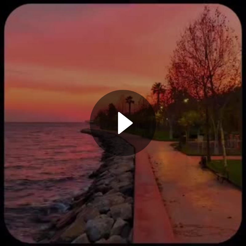 📱વ્હોટ્સએપ સ્ટેટ્સ📱 - ShareChat