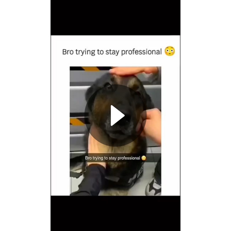 rizz.university | Spotlight on Snapchat