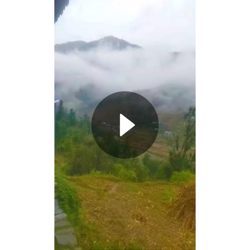 💑शादियों के मजेदार मीम्स😂 - ShareChat