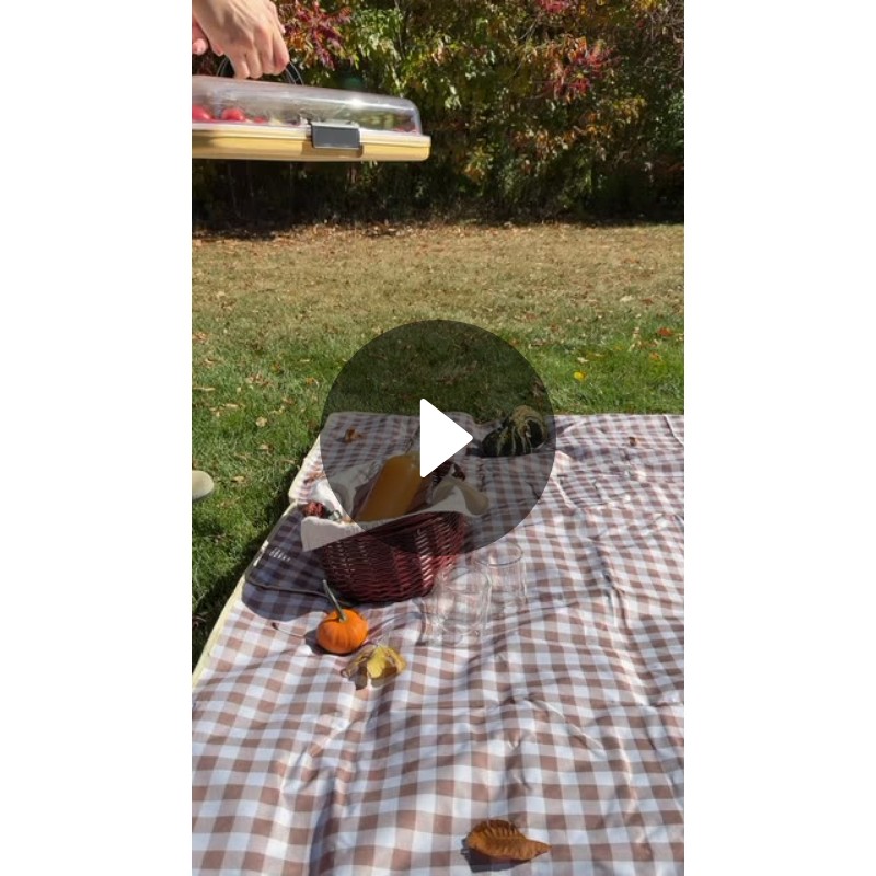 Pineapplebrat (pineapplebrat) Posted 11/3/2025 Spotlight