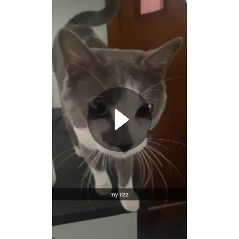 my rizz | Spotlight on Snapchat