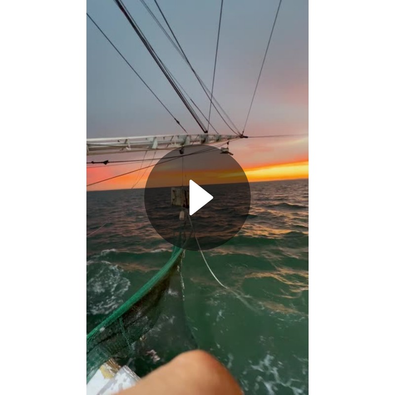 who_isnt Spotlight on Snapchat