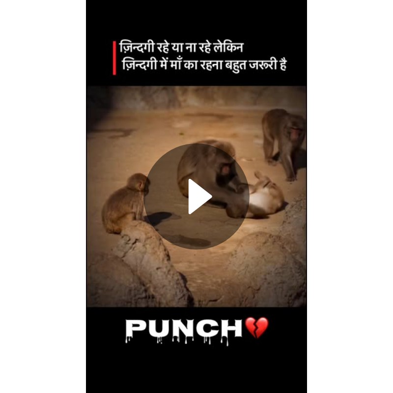 ❤️मेरी माँ मेरी दुनिया ❤️ - ShareChat