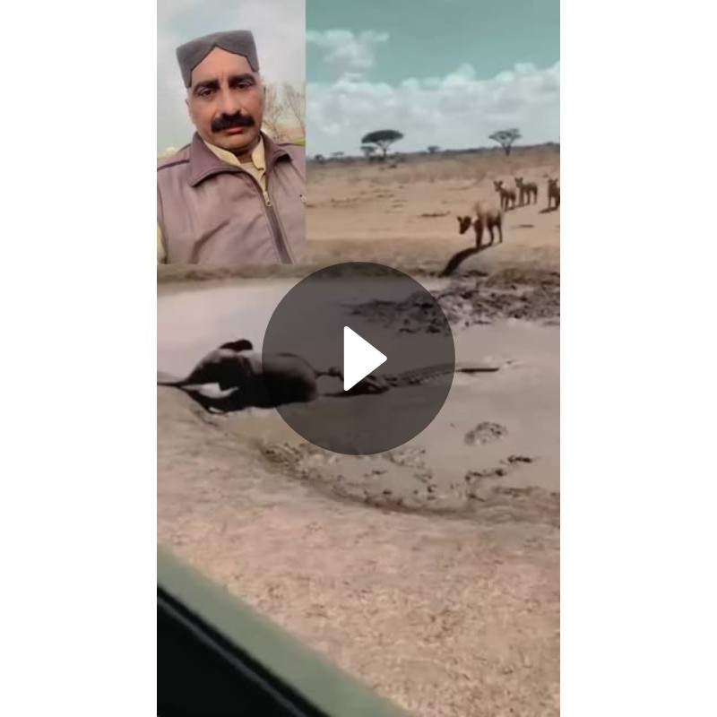 💔जख्मी दिल - ShareChat