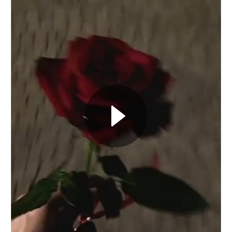 🥰میرا سٹیٹس ❤️ - ShareChat
